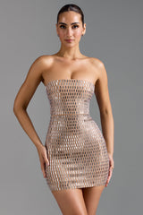 Grazia Embellished Dress